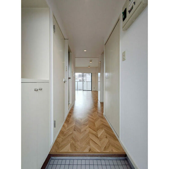 玄関　※別部屋写真。現況優先※
