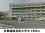 大学・短大　京都嵯峨芸術大学（大学・短大）まで800m