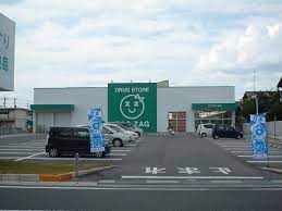 ドラックストア　ザグザグ津高店（ドラッグストア）まで1253m
