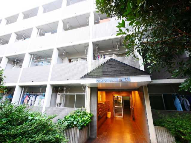 建物外観　タッシ国立