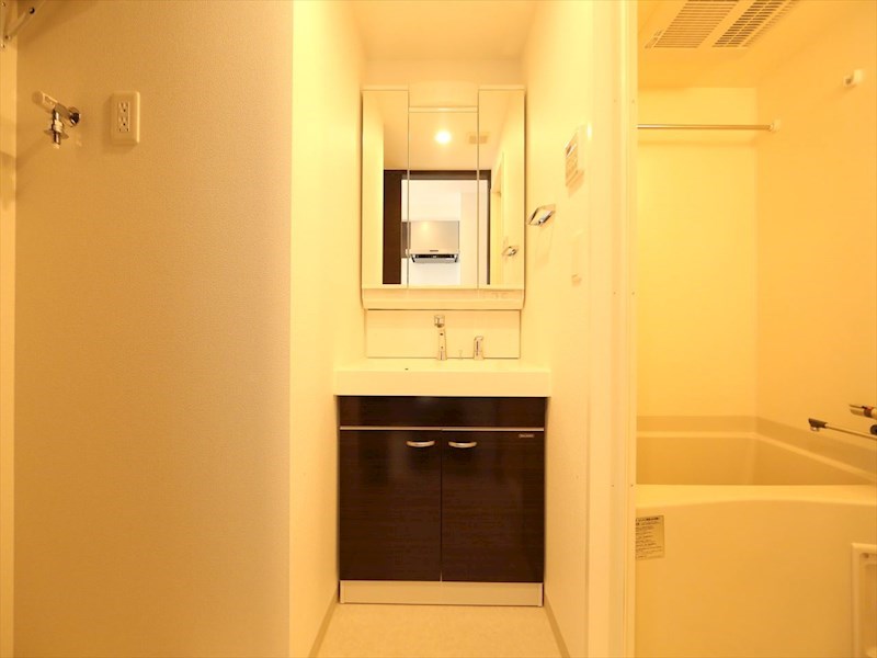 洗面設備　脱衣所　独立洗面台（シャンプードレッサー付）収納スペース有