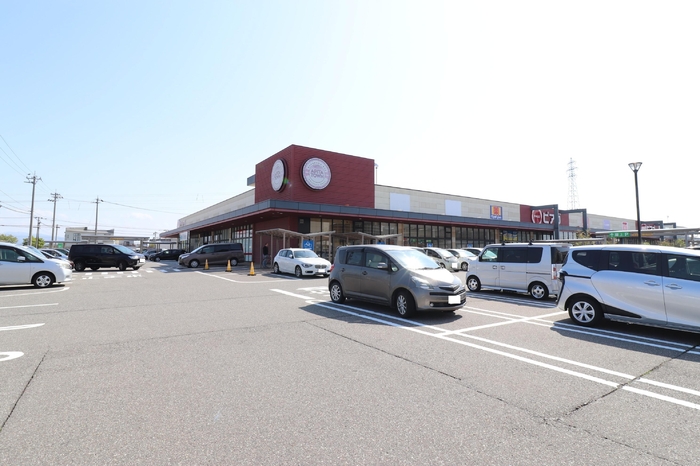 ショッピングセンター　アピタタウン金沢ベイ店（ショッピングセンター）まで1215m