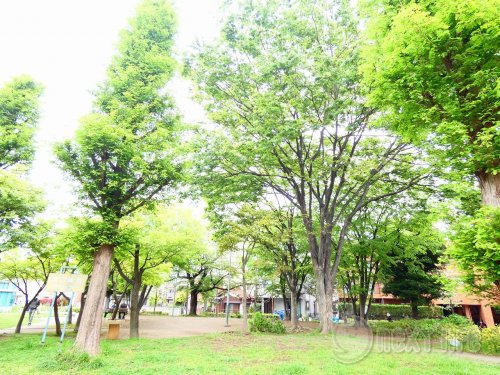公園　溝口緑地（公園）まで218m