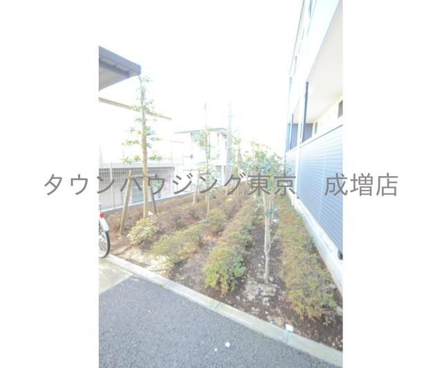 庭