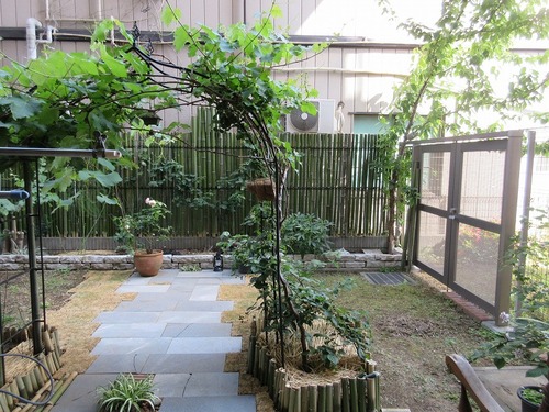 庭　専用庭　※2026年5月の写真