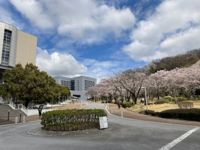 大学・短大　私立中央大学（大学・短大）まで1232m