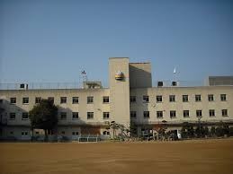 小学校　大阪市立三国小学校（小学校）まで240m