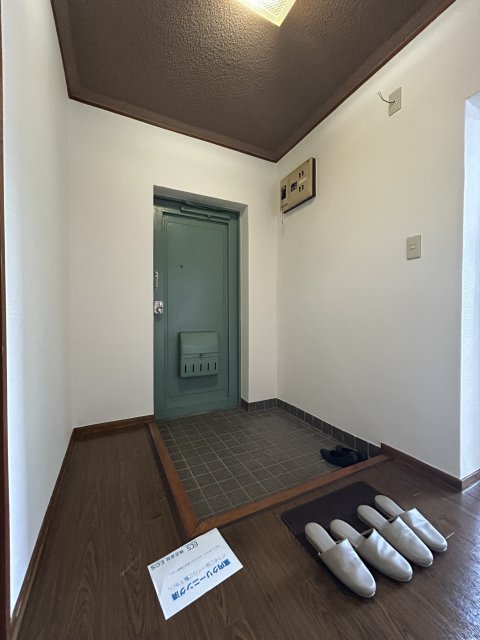 玄関　※写真は２０３号室です