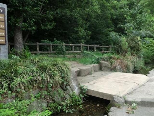公園　日野緑地（公園）まで618m