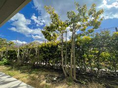 プラウド町田のその他写真