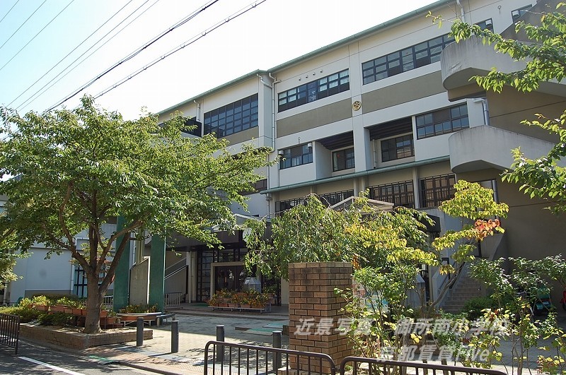 小学校　京都市立御所南小学校（小学校）まで252m