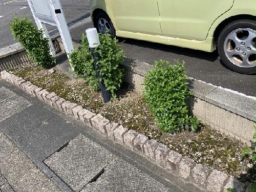 庭