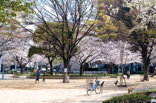 公園　堀江公園（公園）まで282m