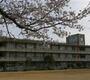 小学校　三木市立平田小学校（小学校）まで800m