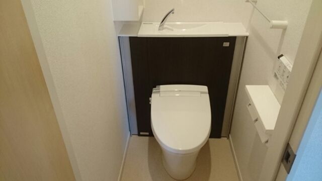 アニューやぶなみIのトイレ写真