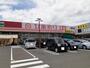 ドラックストア　スーパードラッグひまわり 御幸店（ドラッグストア）まで775m