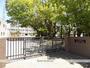 小学校　五条小学校（小学校）まで565m