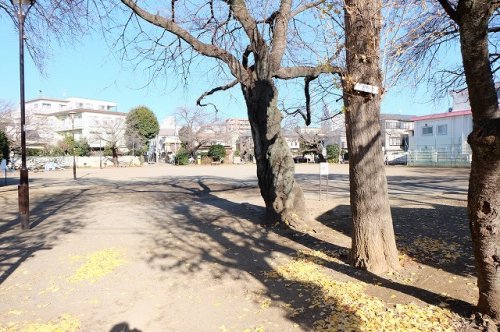 【昭島市玉川町のマンションの公園】