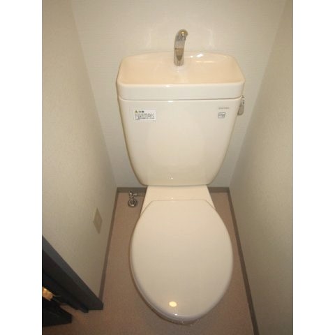 トイレ　同仕様・同タイプ別号室の写真です