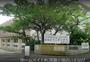小学校　那覇市立金城小学校（小学校）まで824m