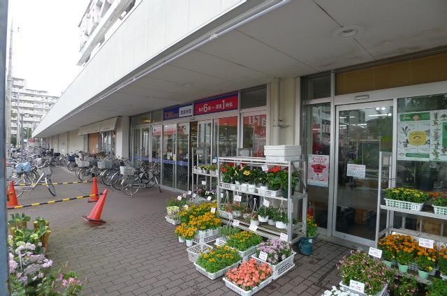 スーパー　東武ストア（スーパー）まで1000m