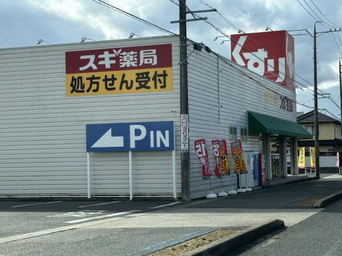 ドラックストア　スギ薬局 竹村店（ドラッグストア）まで335m