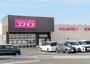 ドラックストア　ディスカウントドラッグコスモス新居浜松木店（ドラッグストア）まで247m