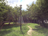 公園　靱公園（公園）まで1322m