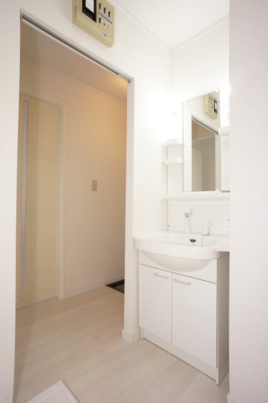 洗面設備　シャワードレッサー仕様！室内洗濯機置場あります！