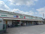 ドラックストア　ドラッグセイムス柏花野井店（ドラッグストア）まで725m