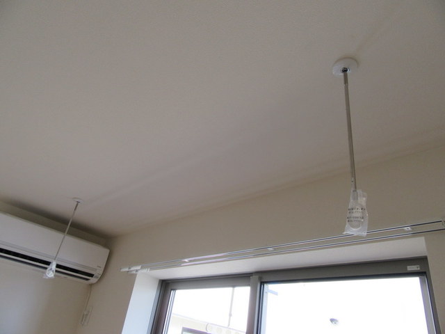 GattoBianco_その他_0