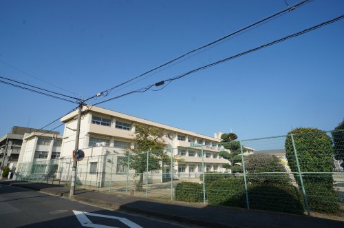 小学校　橿原市立金橋小学校（小学校）まで868m