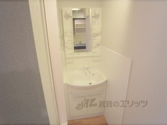 洗面設備　シャンプードレッサーが付いています。