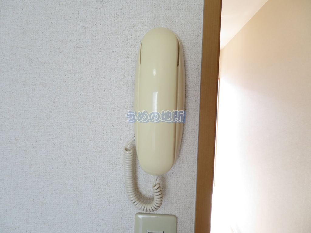 セキュリティ　フォン