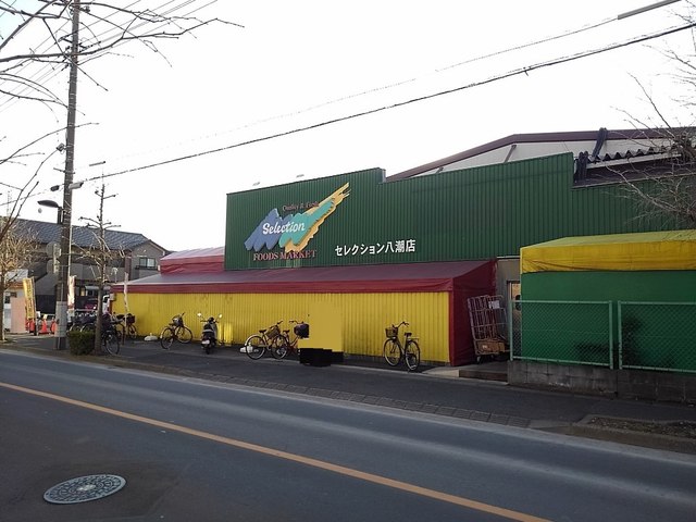 スーパー　セレクション八潮店（スーパー）まで160m