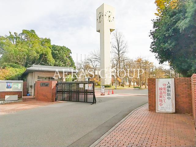 中学校　私立光英VERITAS中学校（中学校）まで1091m