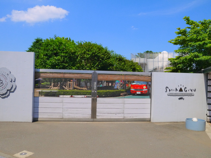 幼稚園・保育園　白菊幼稚園（幼稚園・保育園）まで500m