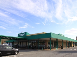 スーパー　ツルヤ野沢店（スーパー）まで990m