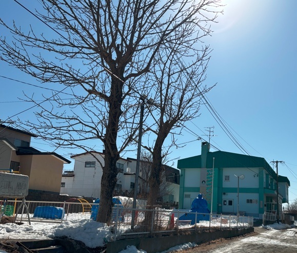 幼稚園・保育園　釧路頌栄保育園（幼稚園・保育園）まで799m