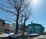 幼稚園・保育園　釧路頌栄保育園（幼稚園・保育園）まで799m