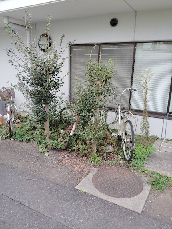 庭　参考写真