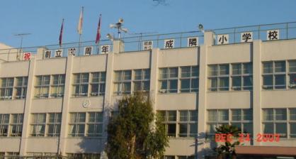 小学校　昭島市立成隣小学校（小学校）まで494m