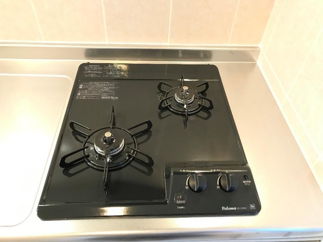 グリーンメゾンVのキッチン写真