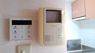 【南埼玉郡宮代町百間のマンションのセキュリティ】