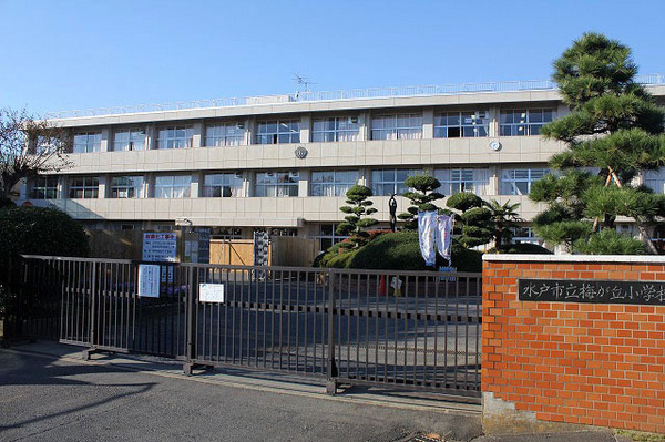 小学校　水戸市立梅が丘小学校（小学校）まで1300m