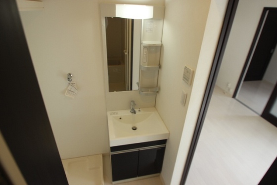 洗面設備　※別部屋の写真です