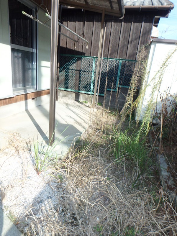 庭　南向きで日当たり良好☆