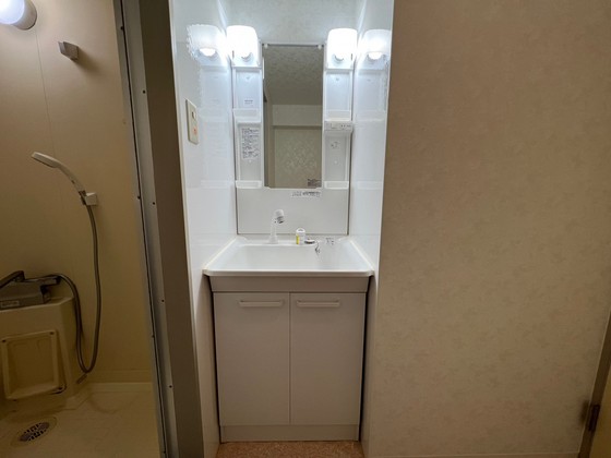 洗面設備　※別号室の写真です。