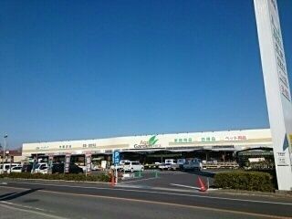 ホームセンター　アグロ（ホームセンター）まで860m