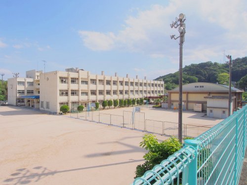 小学校　広島市立大町小学校（小学校）まで689m
